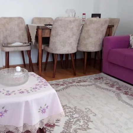 Daire Yoldaş Apart *